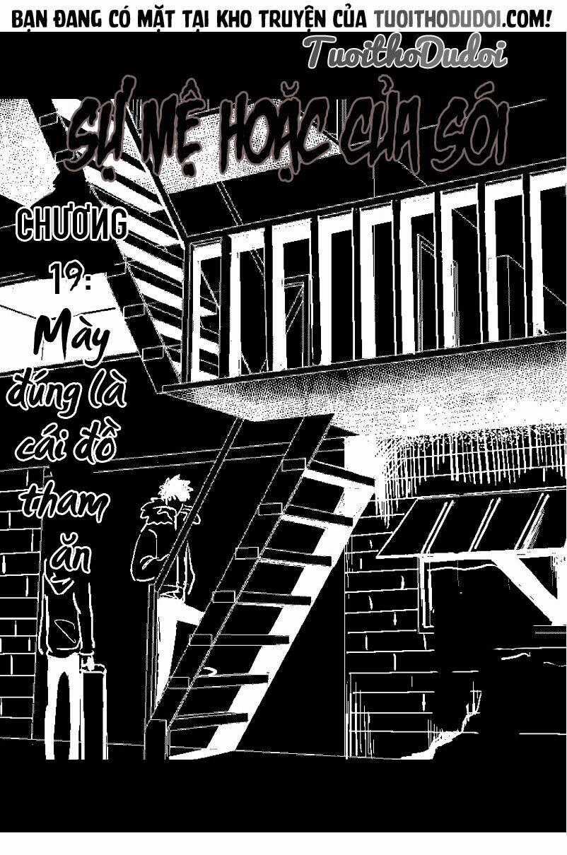 Sự Mê Hoặc Của Sói Chapter 19 trang 0