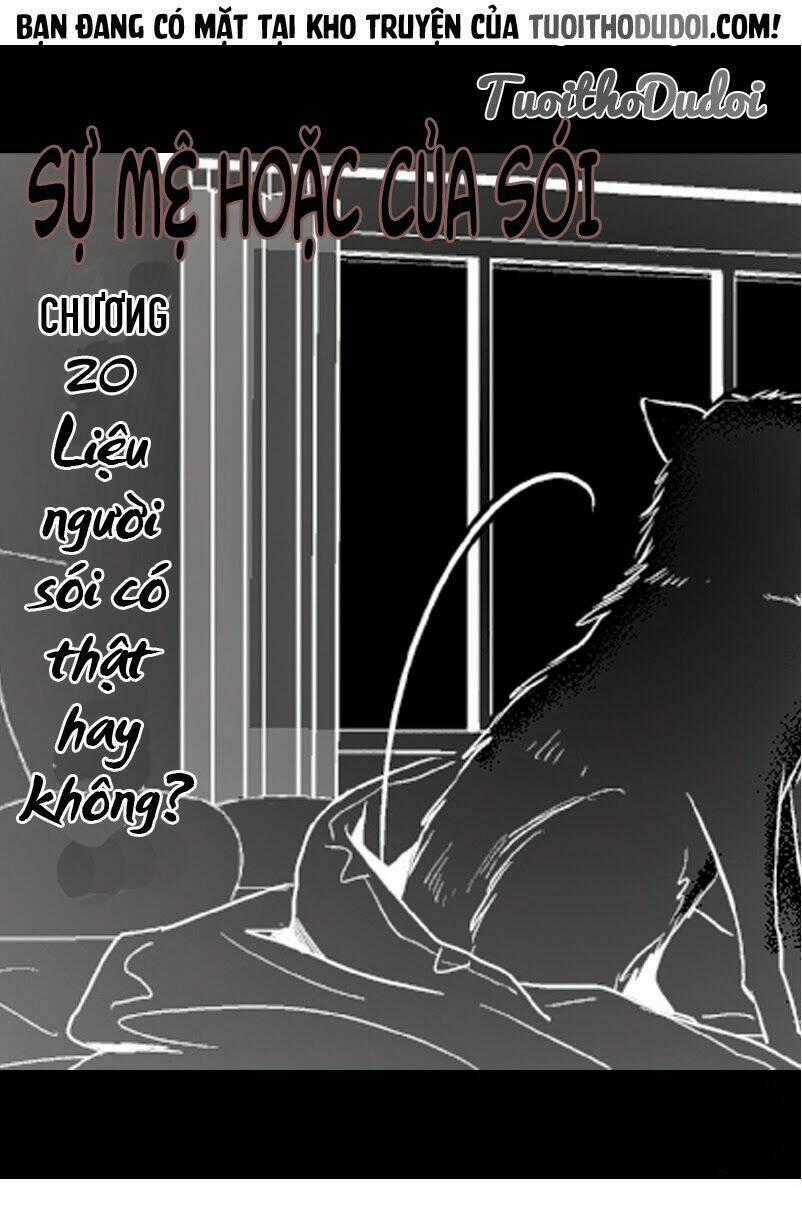 Sự Mê Hoặc Của Sói Chapter 20 trang 0