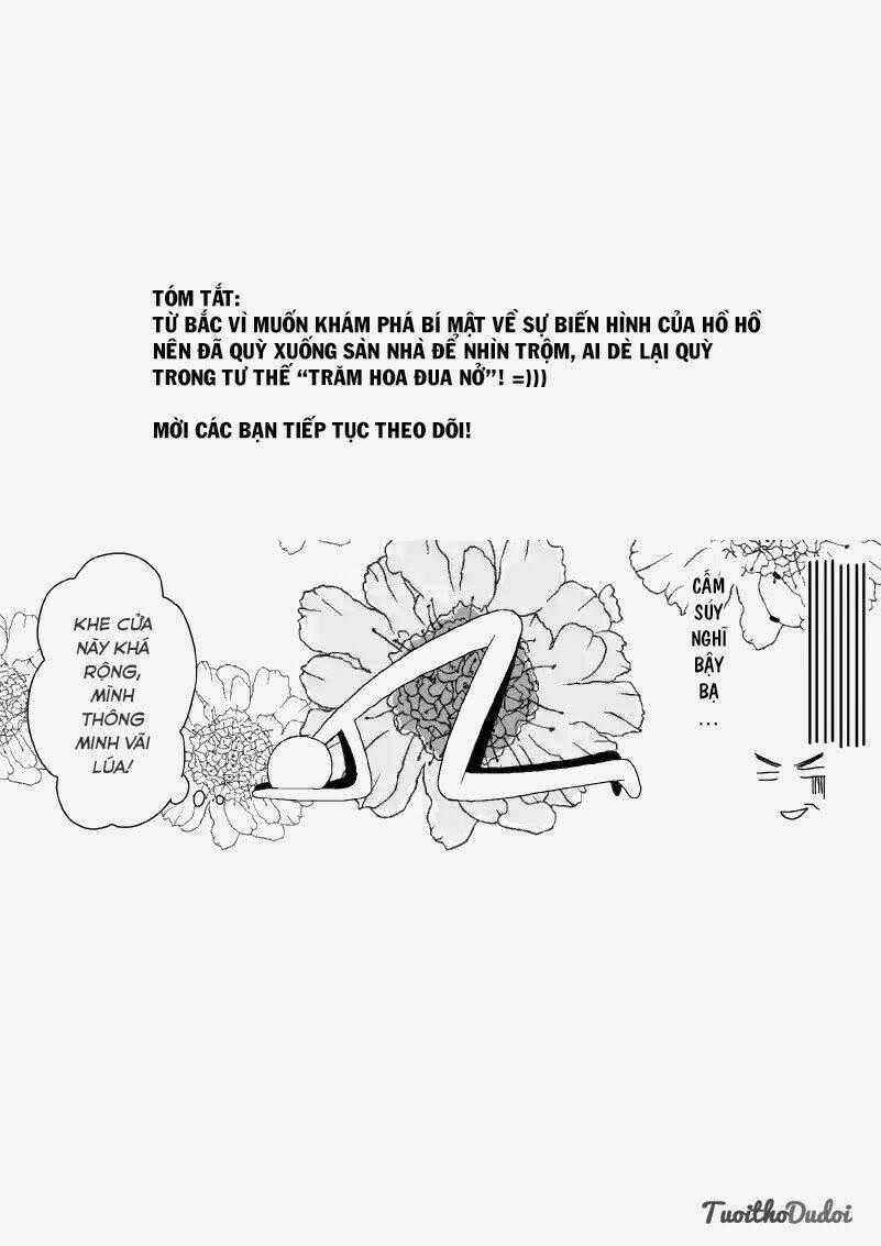 Sự Mê Hoặc Của Sói Chapter 25 trang 1