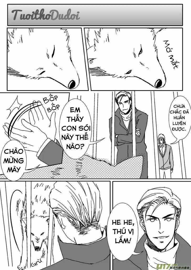Sự Mê Hoặc Của Sói Chapter 36 trang 1
