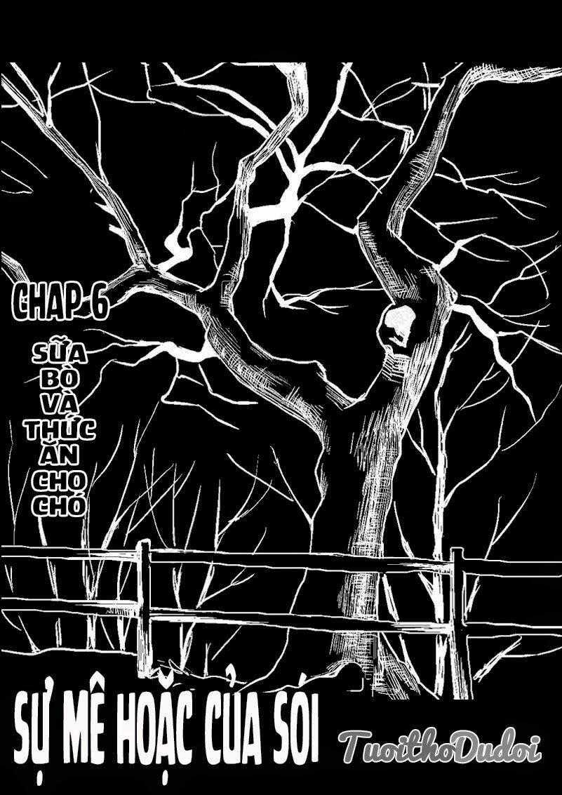 Sự Mê Hoặc Của Sói Chapter 6 trang 0