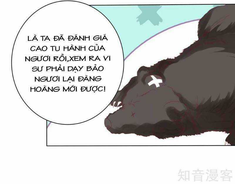 Sư Phụ, Cái Kia Ăn Ngon! Chapter 14 trang 29