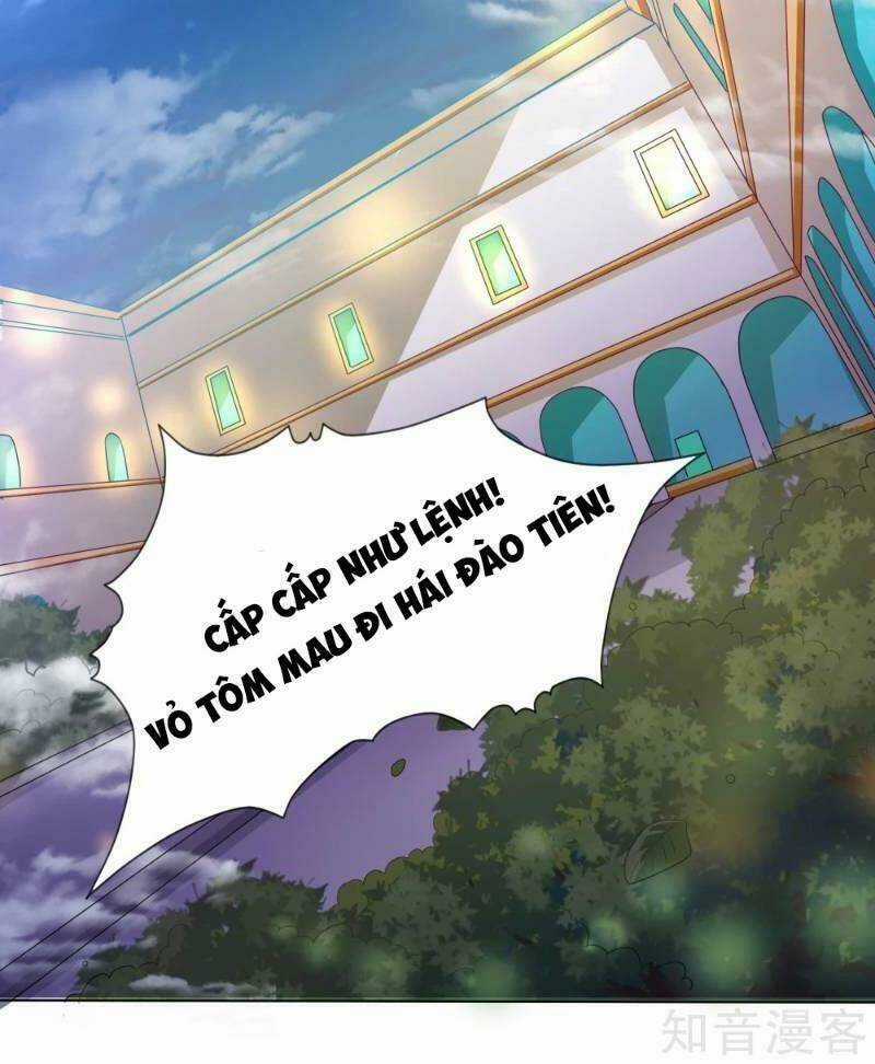 Sư Phụ, Cái Kia Ăn Ngon! Chapter 15 trang 13