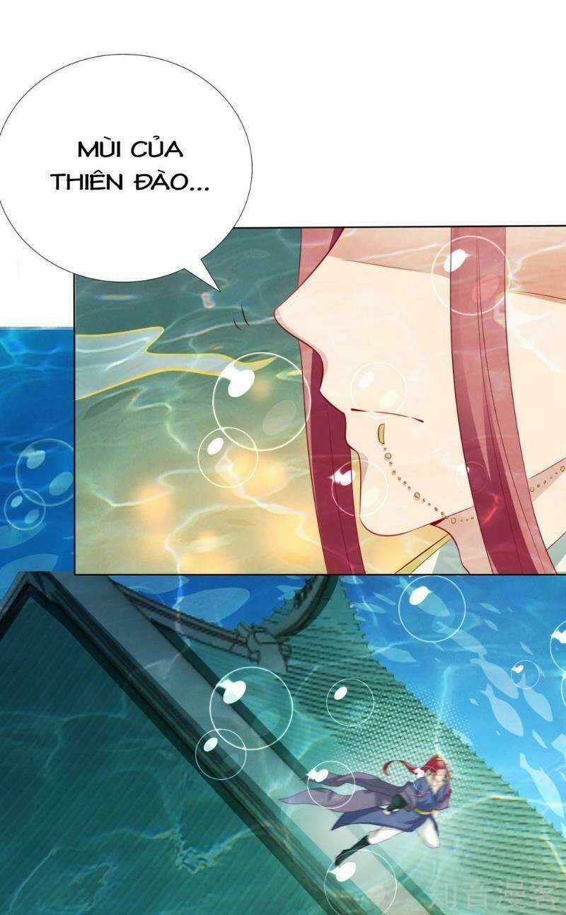 Sư Phụ, Cái Kia Ăn Ngon! Chapter 15 trang 28