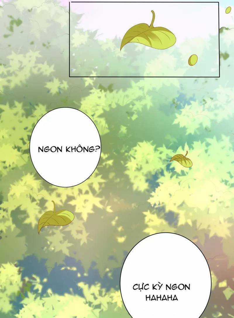 Sư Phụ, Cái Kia Ăn Ngon! Chapter 3 trang 12