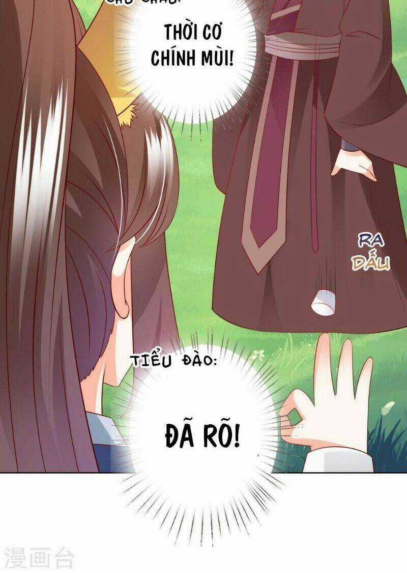 Sư Phụ, Cái Kia Ăn Ngon! Chapter 69 trang 28