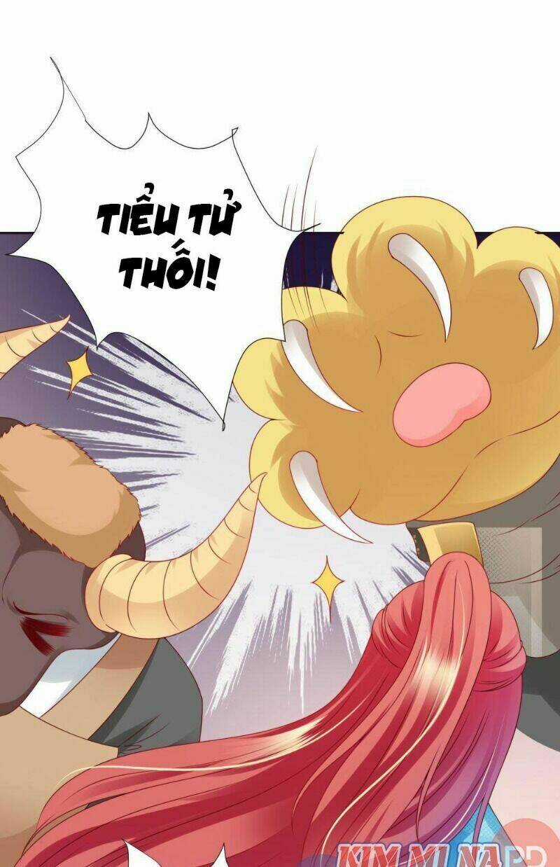 Sư Phụ, Cái Kia Ăn Ngon! Chapter 70 trang 5