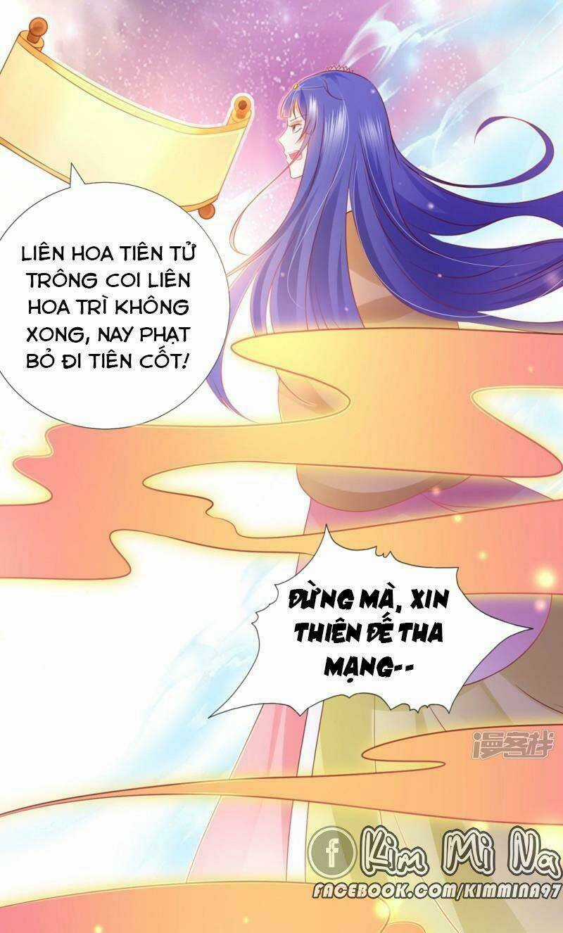 Sư Phụ, Cái Kia Ăn Ngon! Chapter 91 trang 30