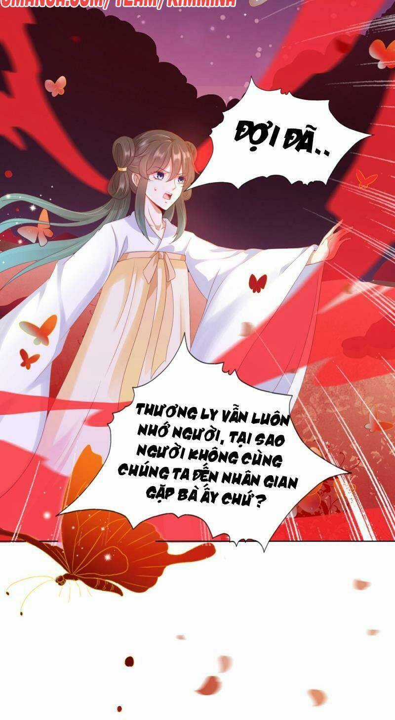 Sư Phụ, Cái Kia Ăn Ngon! Chapter 99.1 trang 14