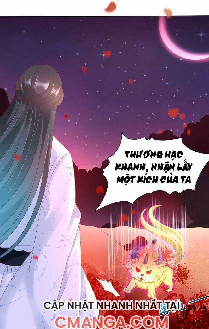 Sư Phụ, Cái Kia Ăn Ngon! Chapter 99.1 trang 33