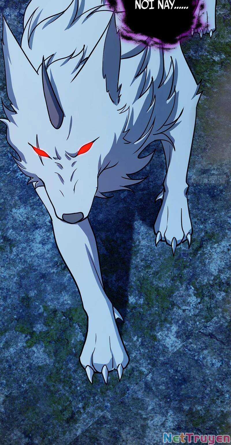 Sư Phụ Của Ta Mỗi Khi Đến Đại Nạn Mới Đột Phá Chapter 34 trang 58