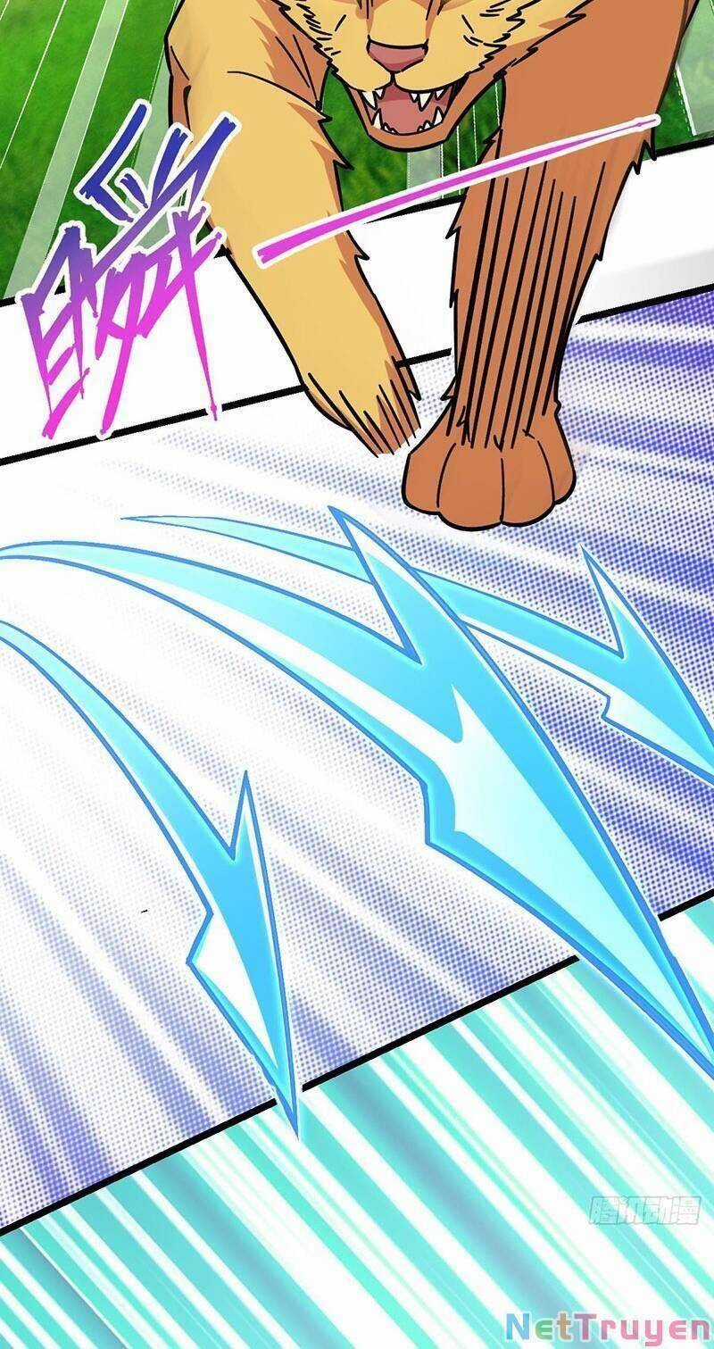 Sư Phụ Của Ta Mỗi Khi Đến Đại Nạn Mới Đột Phá Chương 33 trang 39