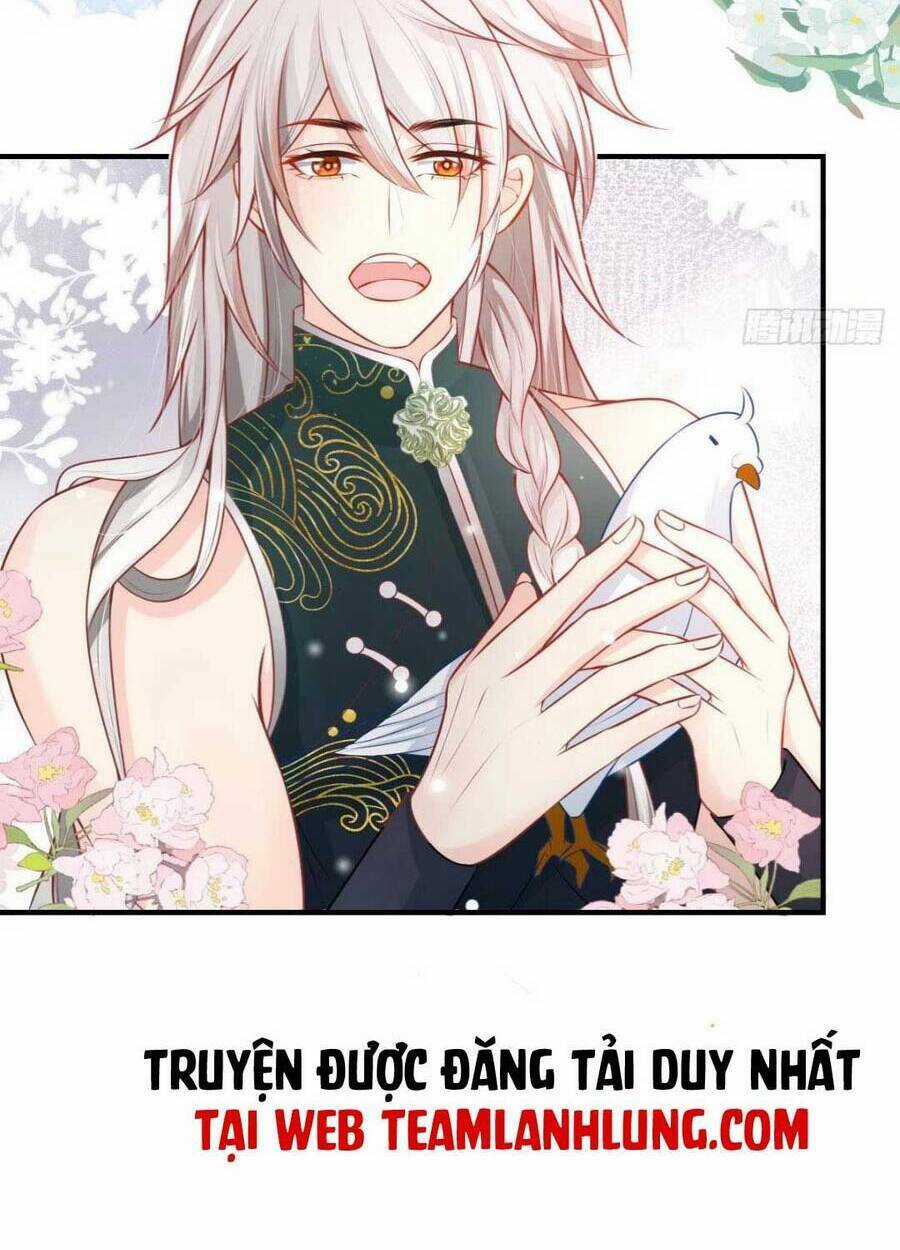 Sư Phụ Ta Muốn Người Là Của Riêng Ta Chapter 13 trang 24