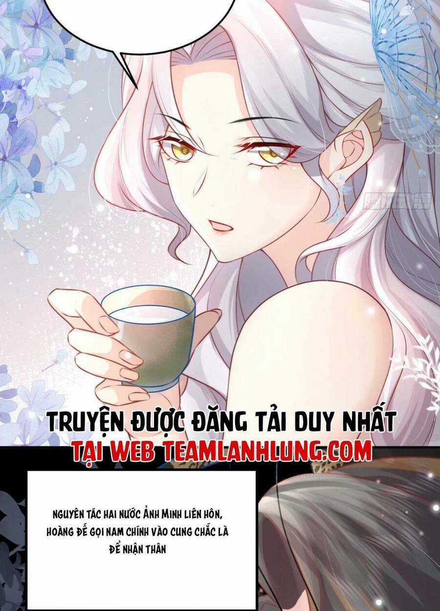 Sư Phụ Ta Muốn Người Là Của Riêng Ta Chapter 13 trang 26