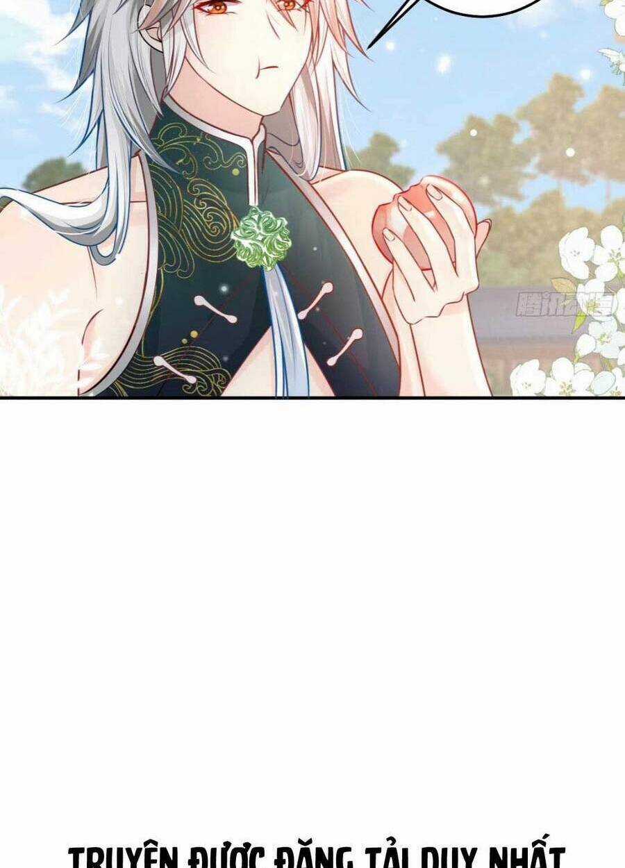 Sư Phụ Ta Muốn Người Là Của Riêng Ta Chapter 13 trang 96