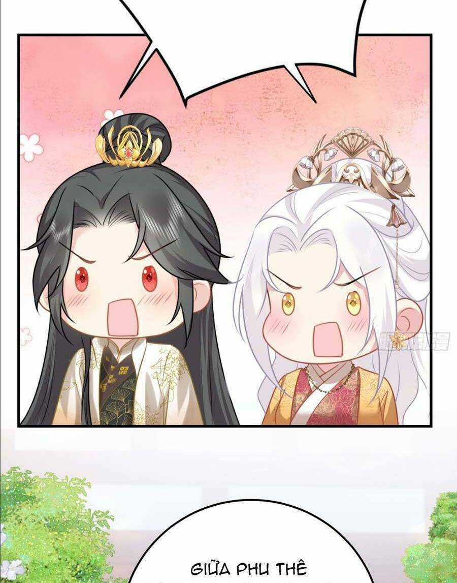 Sư Phụ Ta Muốn Người Là Của Riêng Ta Chapter 24 trang 8