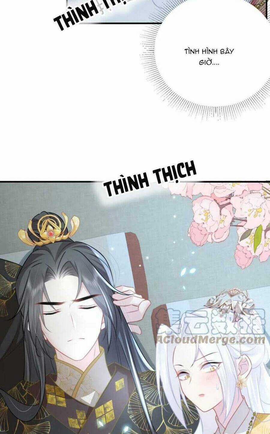 Sư Phụ Ta Muốn Người Là Của Riêng Ta Chapter 25 trang 22