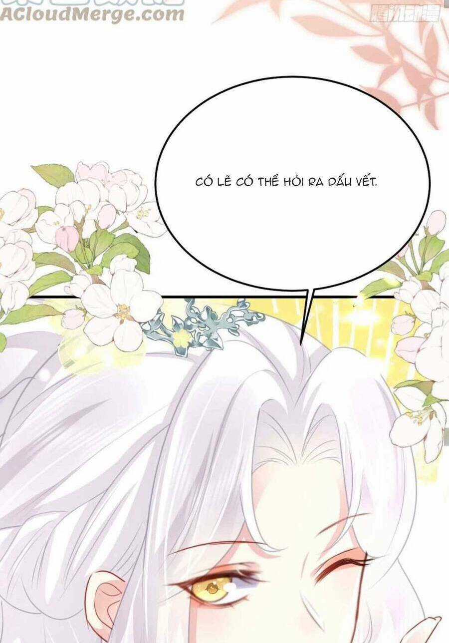 Sư Phụ Ta Muốn Người Là Của Riêng Ta Chapter 30 trang 31