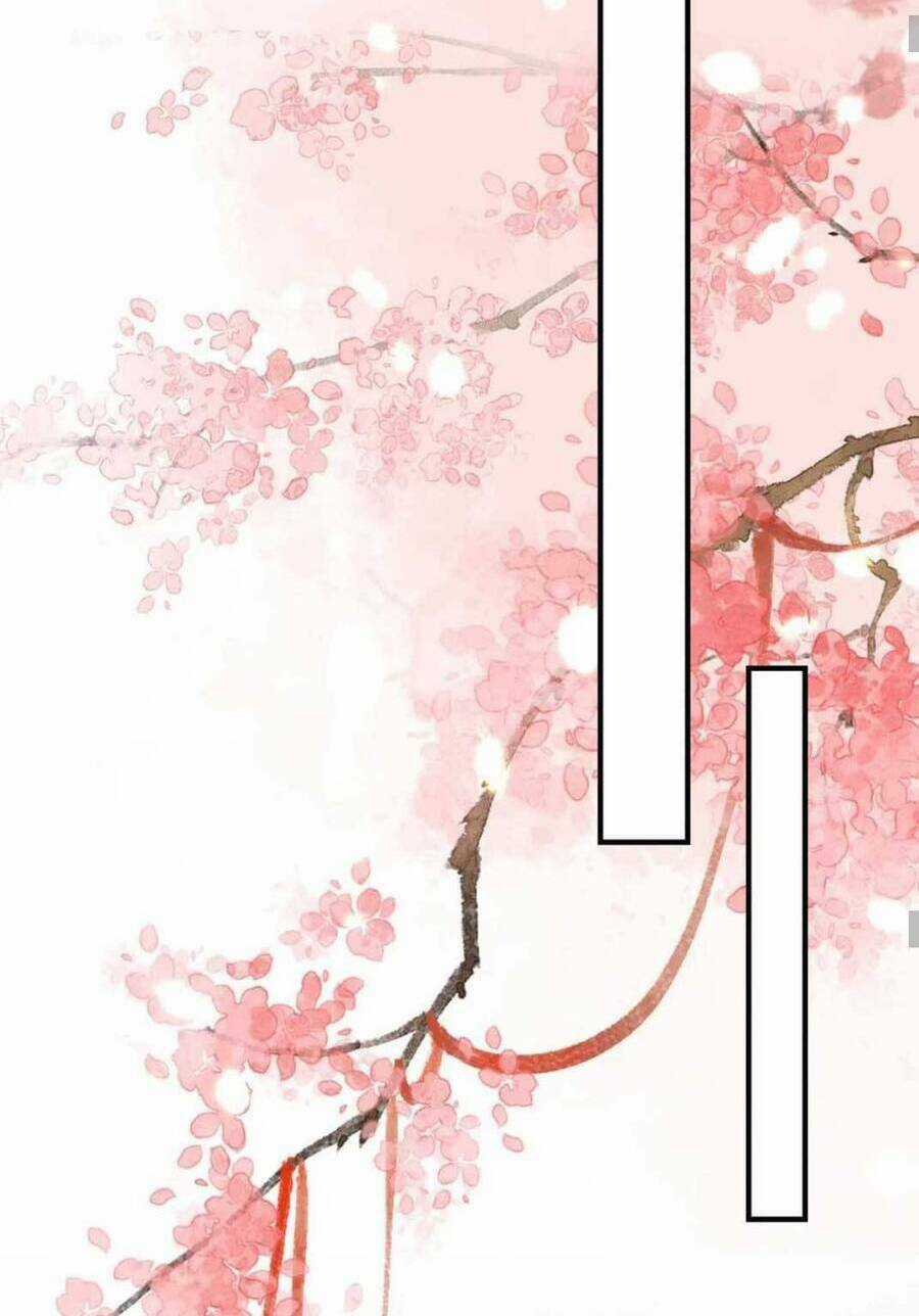 Sư Phụ Ta Muốn Người Là Của Riêng Ta Chapter 30 trang 33