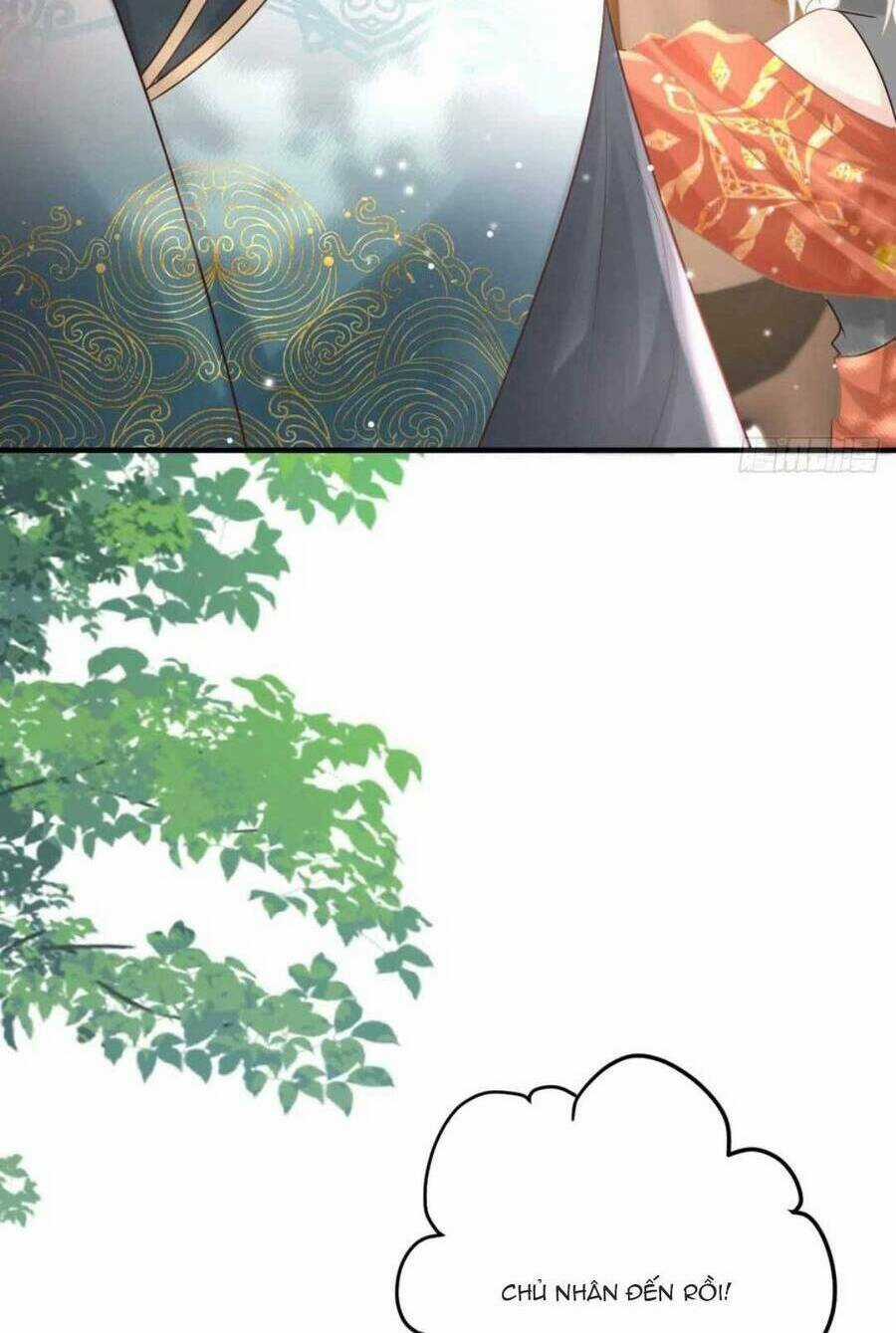 Sư Phụ Ta Muốn Người Là Của Riêng Ta Chapter 31 trang 18