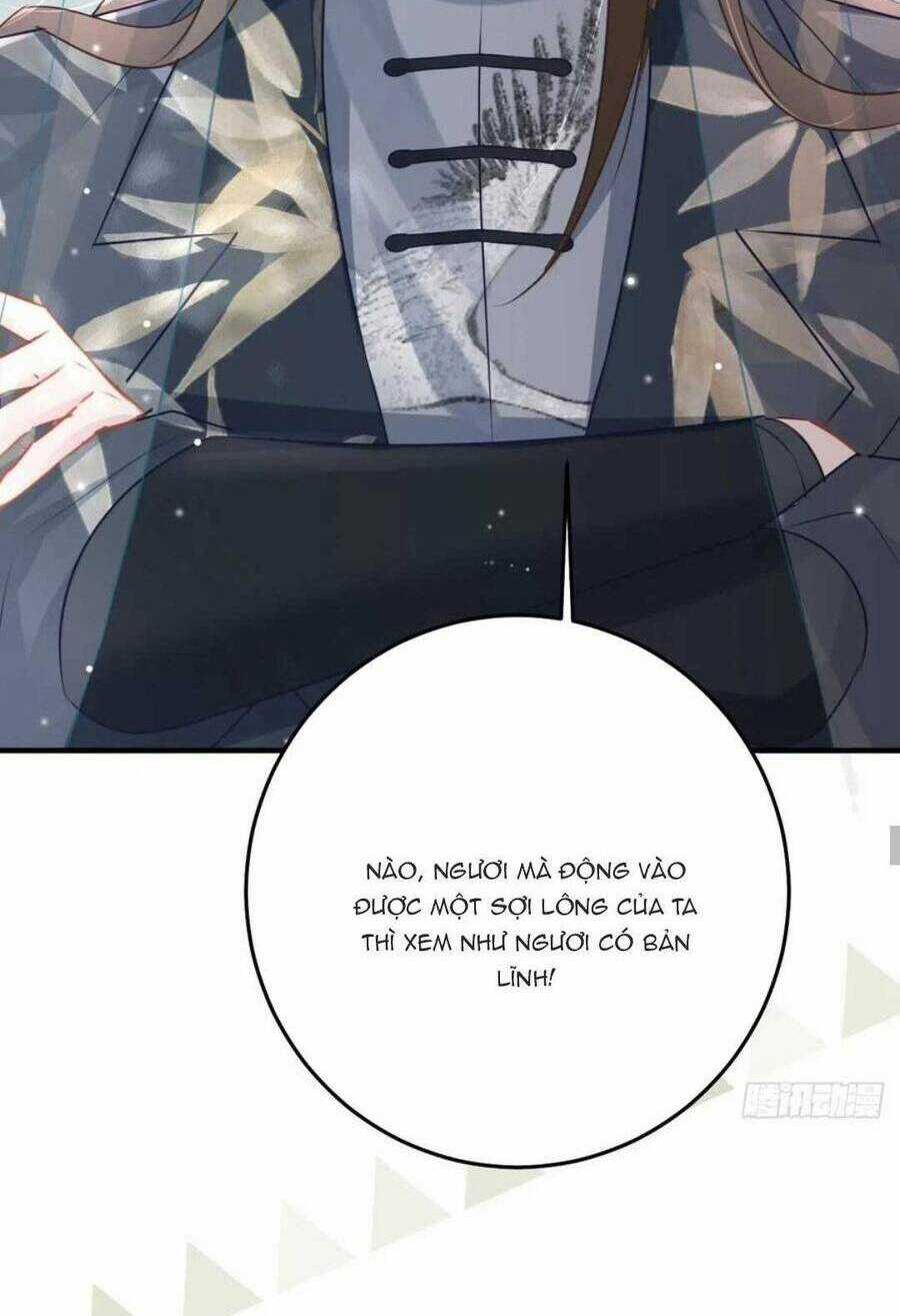 Sư Phụ Ta Muốn Người Là Của Riêng Ta Chapter 31 trang 40