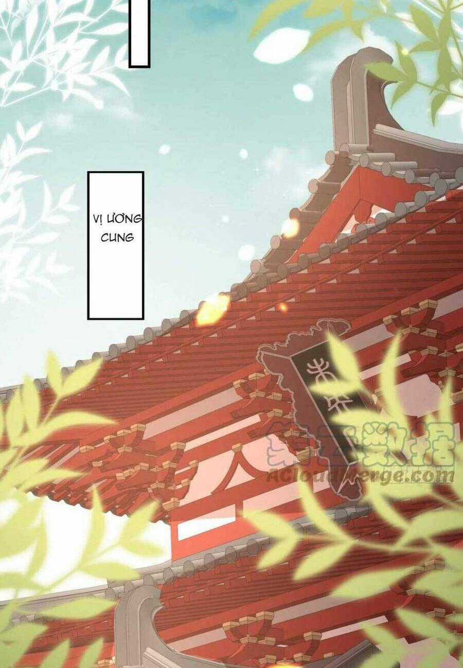 Sư Phụ Ta Muốn Người Là Của Riêng Ta Chapter 32 trang 2