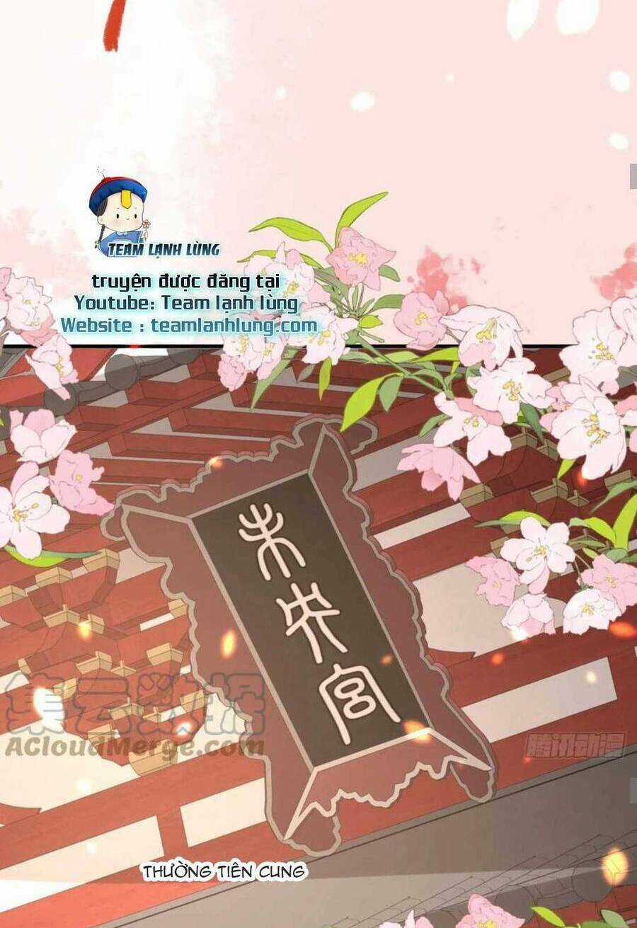 Sư Phụ Ta Muốn Người Là Của Riêng Ta Chapter 33 trang 33