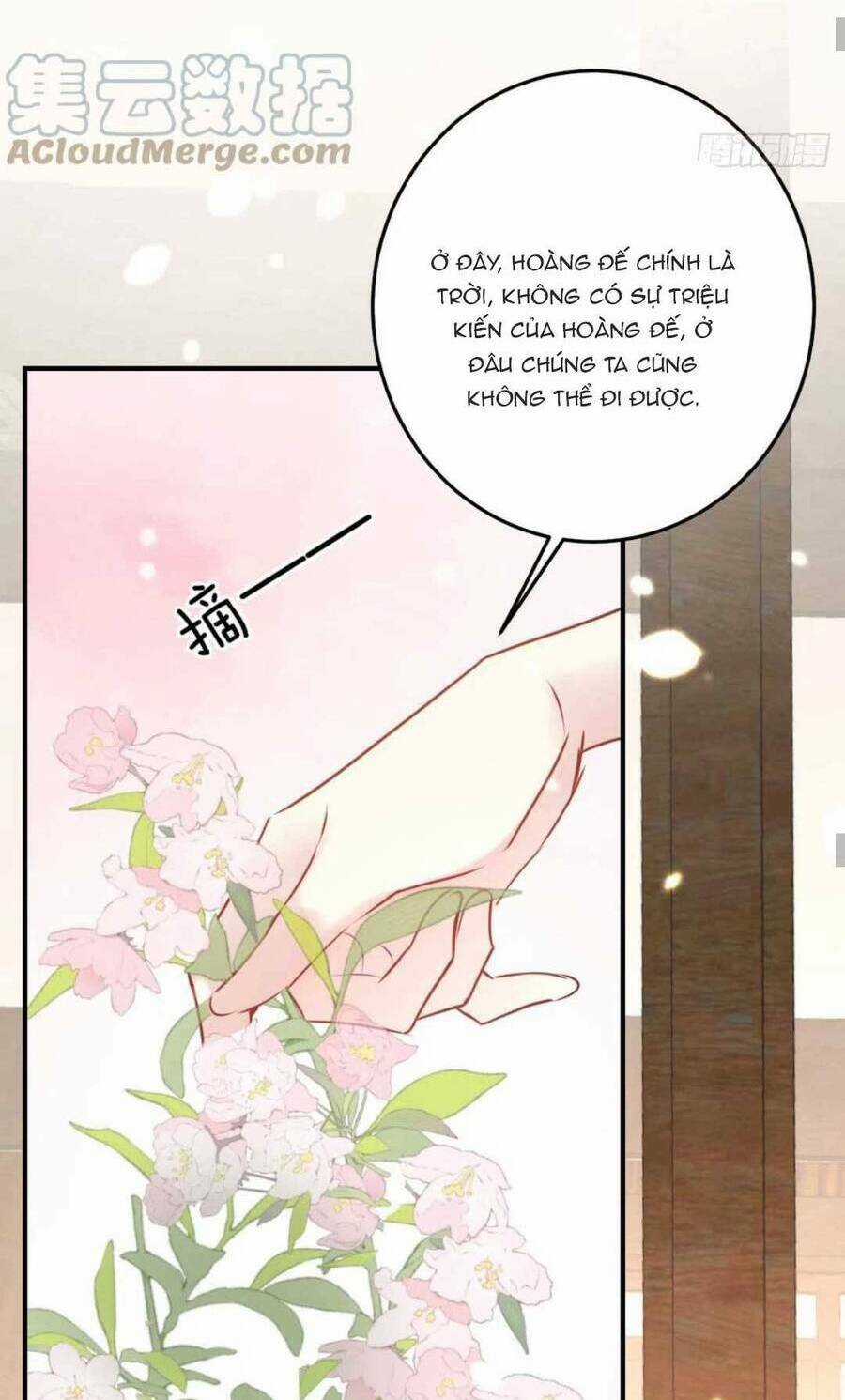 Sư Phụ Ta Muốn Người Là Của Riêng Ta Chapter 33 trang 43