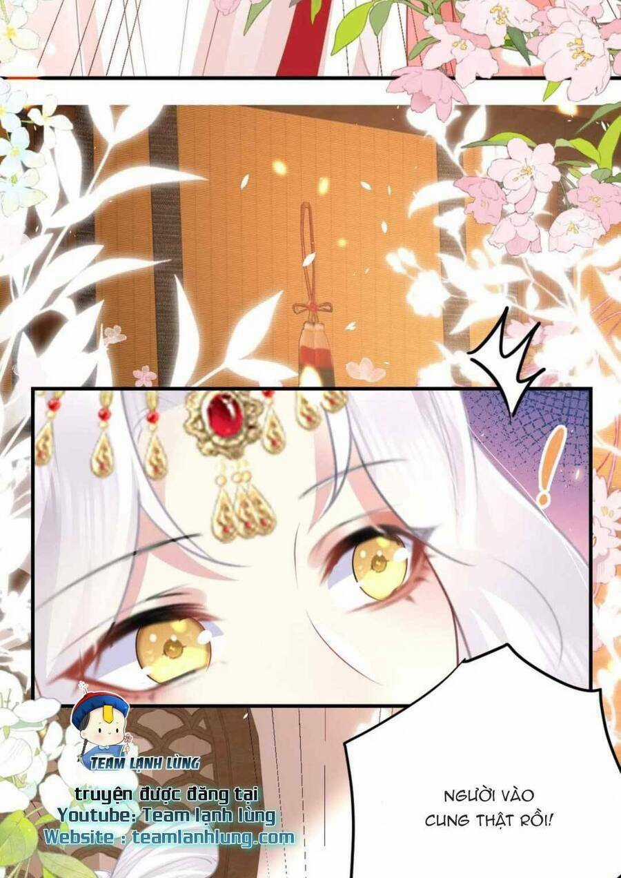 Sư Phụ Ta Muốn Người Là Của Riêng Ta Chapter 33 trang 55