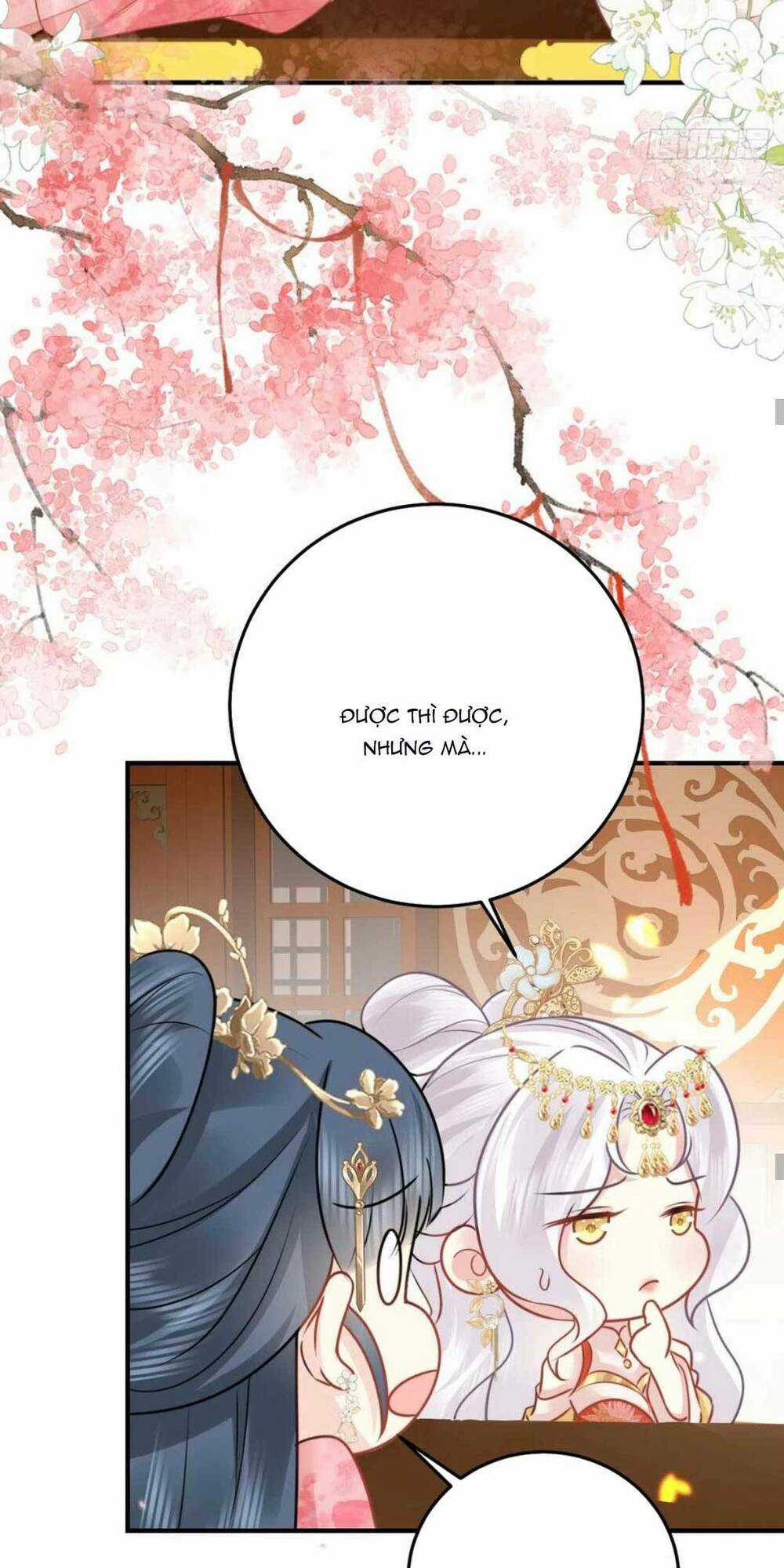 Sư Phụ Ta Muốn Người Là Của Riêng Ta Chapter 34 trang 23