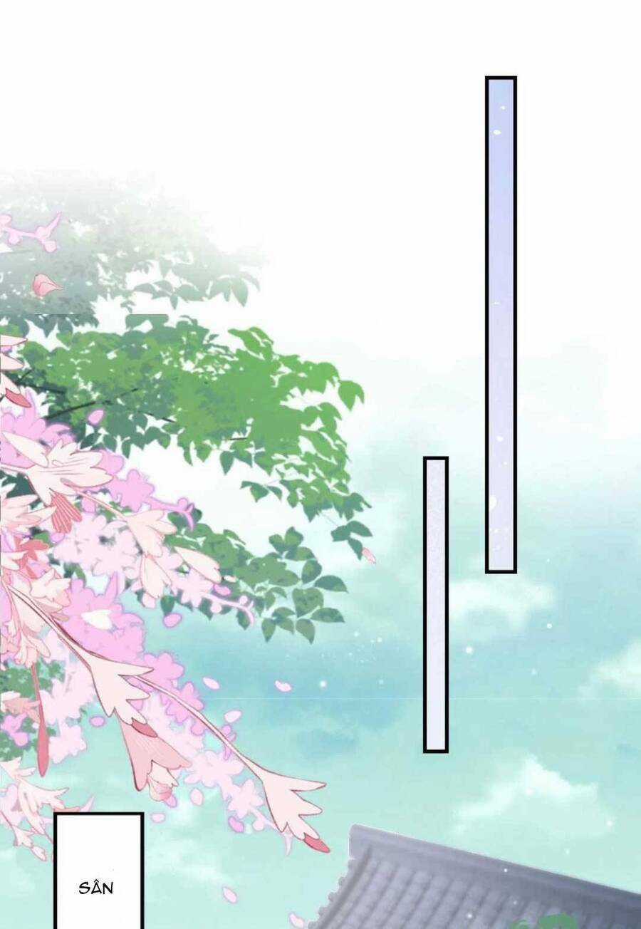 Sư Phụ Ta Muốn Người Là Của Riêng Ta Chapter 37 trang 19