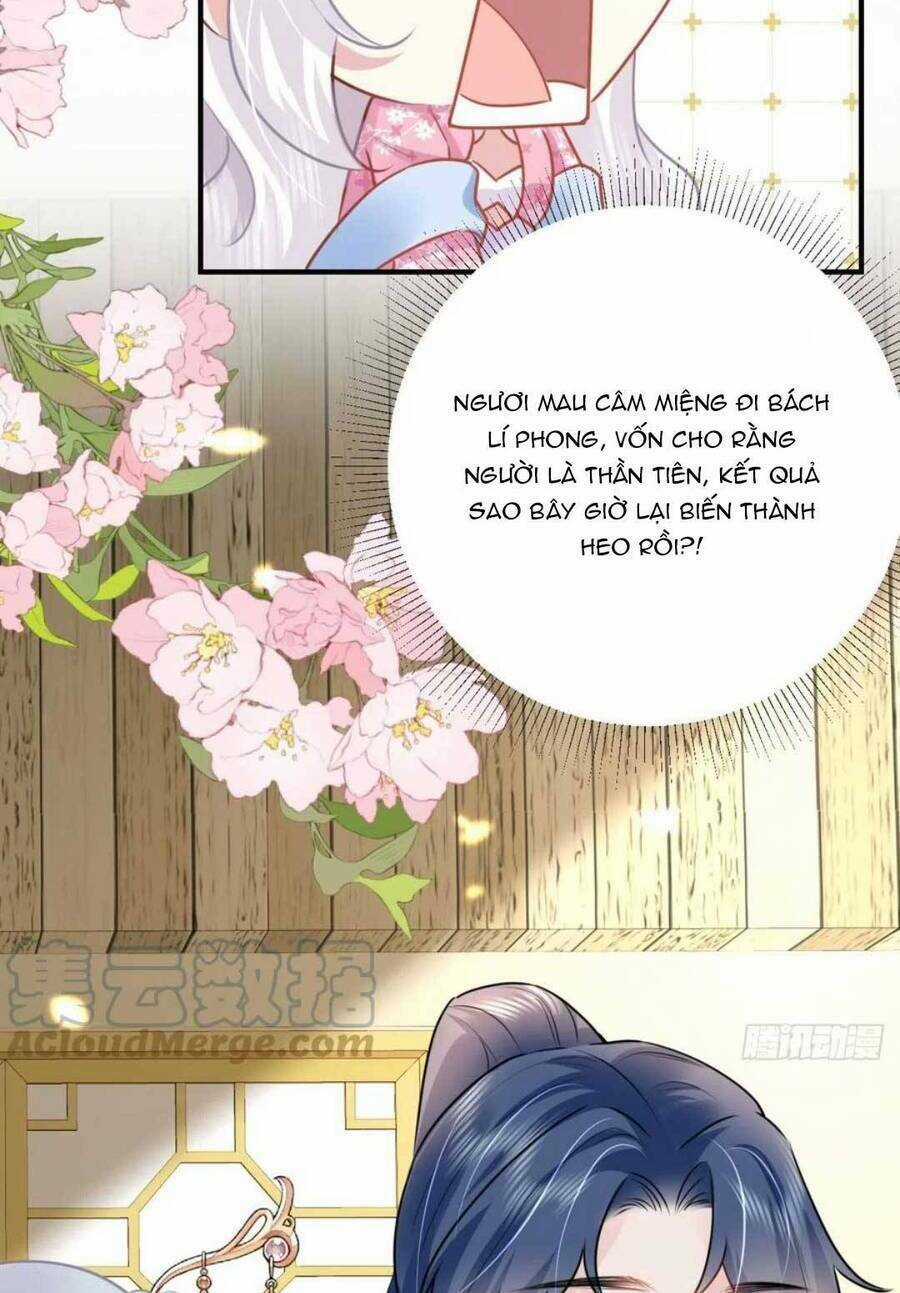 Sư Phụ Ta Muốn Người Là Của Riêng Ta Chapter 38 trang 63