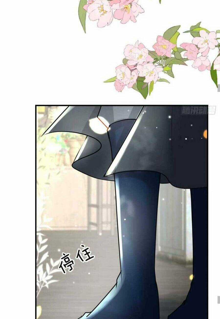 Sư Phụ Ta Muốn Người Là Của Riêng Ta Chapter 39 trang 34