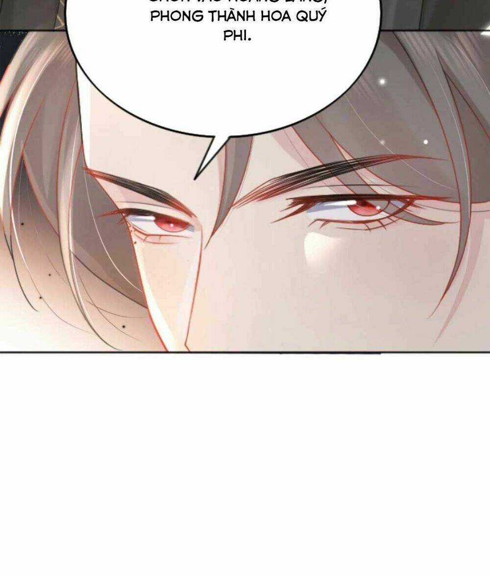 Sư Phụ Ta Muốn Người Là Của Riêng Ta Chapter 4 trang 11