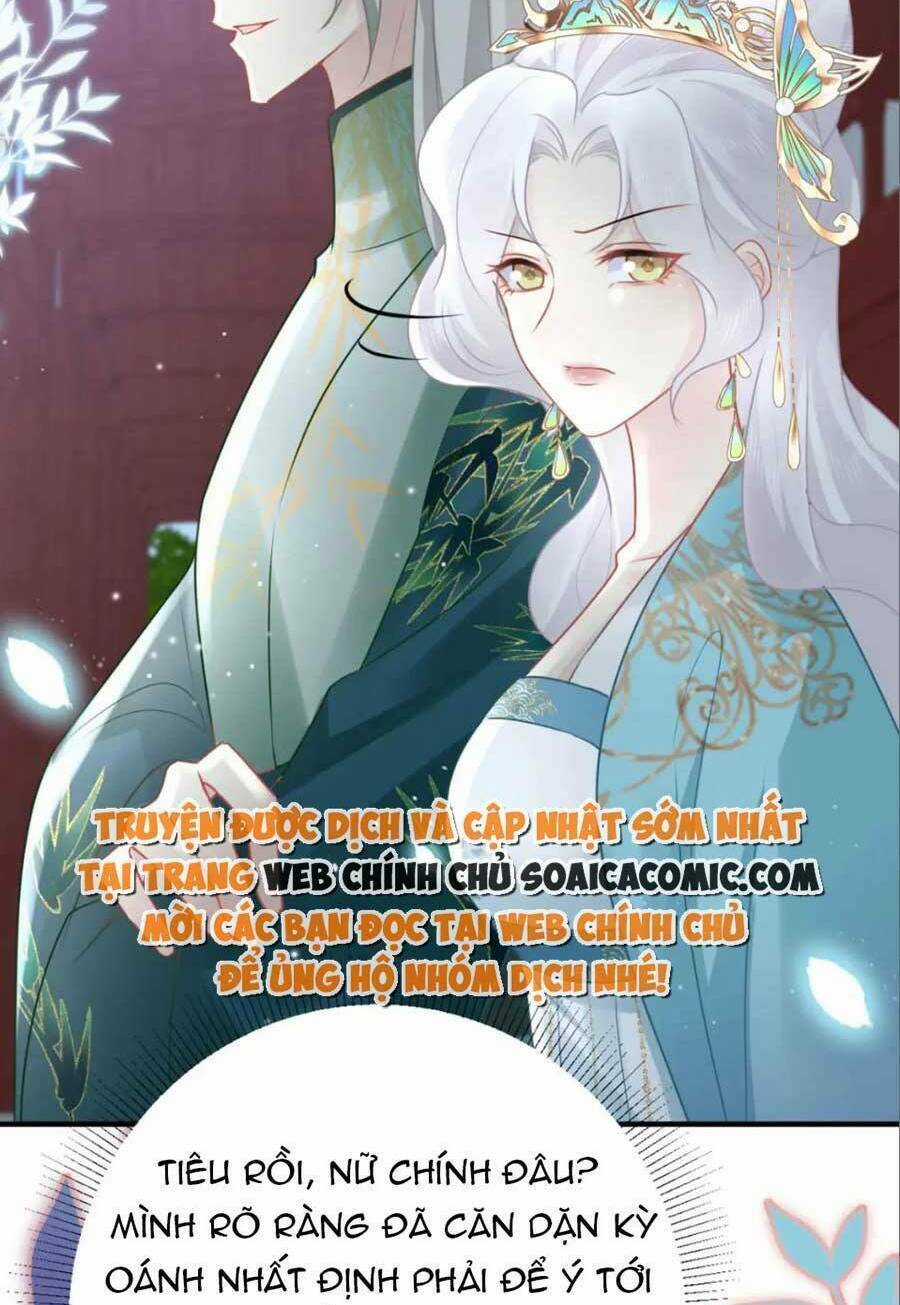 Sư Phụ Ta Muốn Người Là Của Riêng Ta Chapter 41 trang 41