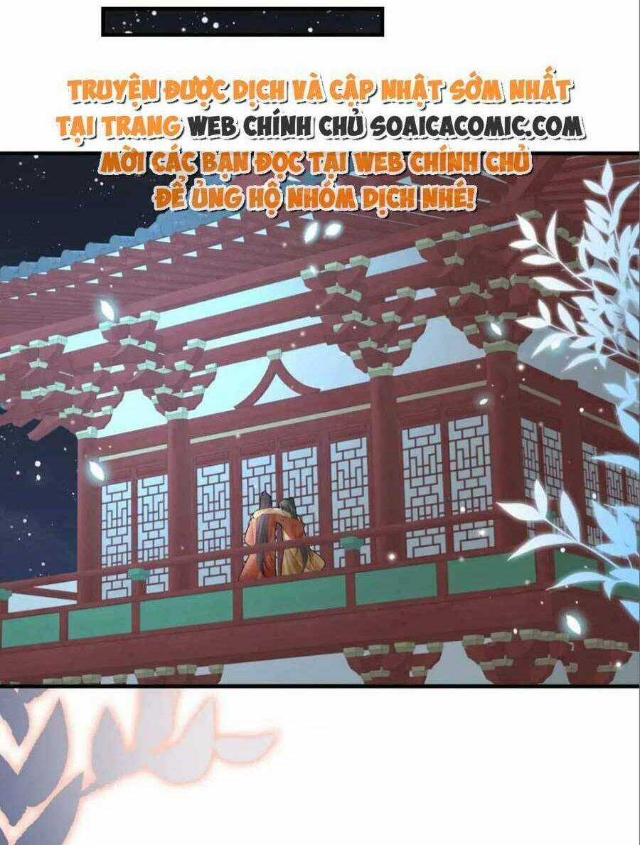 Sư Phụ Ta Muốn Người Là Của Riêng Ta Chapter 41 trang 49