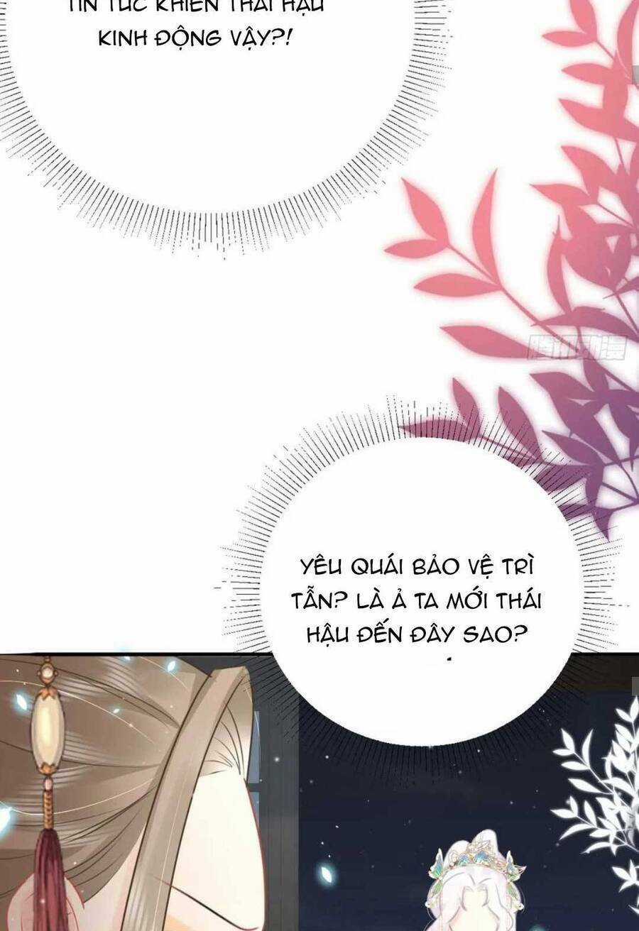 Sư Phụ Ta Muốn Người Là Của Riêng Ta Chapter 43 trang 48