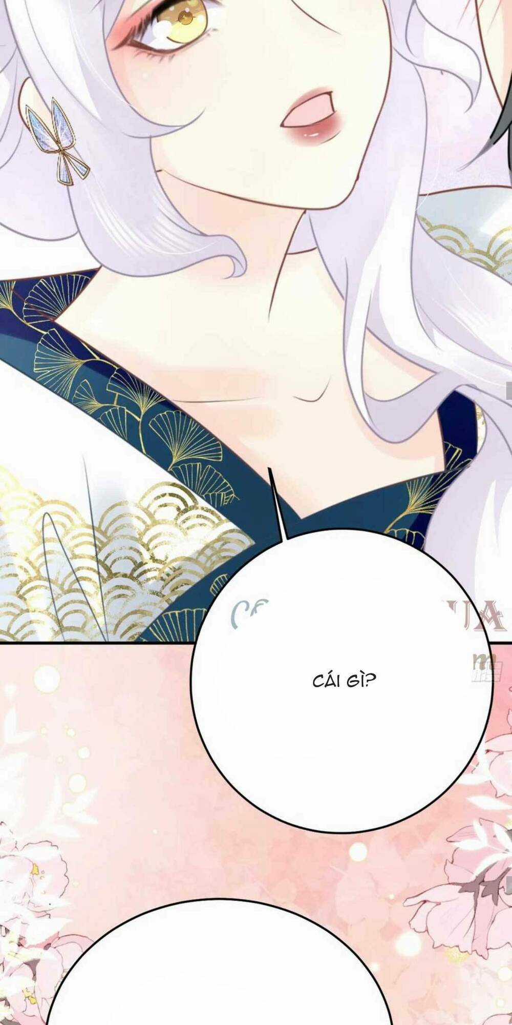 Sư Phụ Ta Muốn Người Là Của Riêng Ta Chapter 48 trang 24