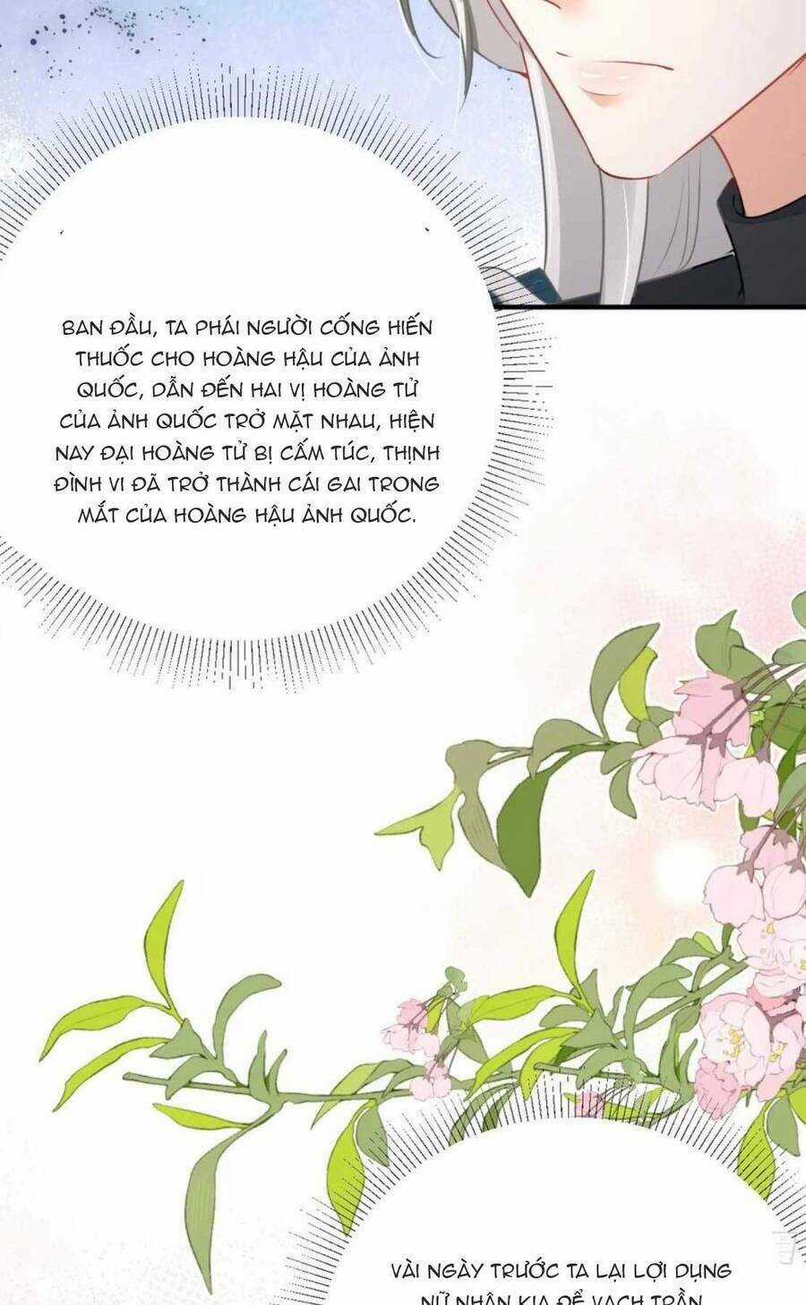 Sư Phụ Ta Muốn Người Là Của Riêng Ta Chapter 50 trang 14