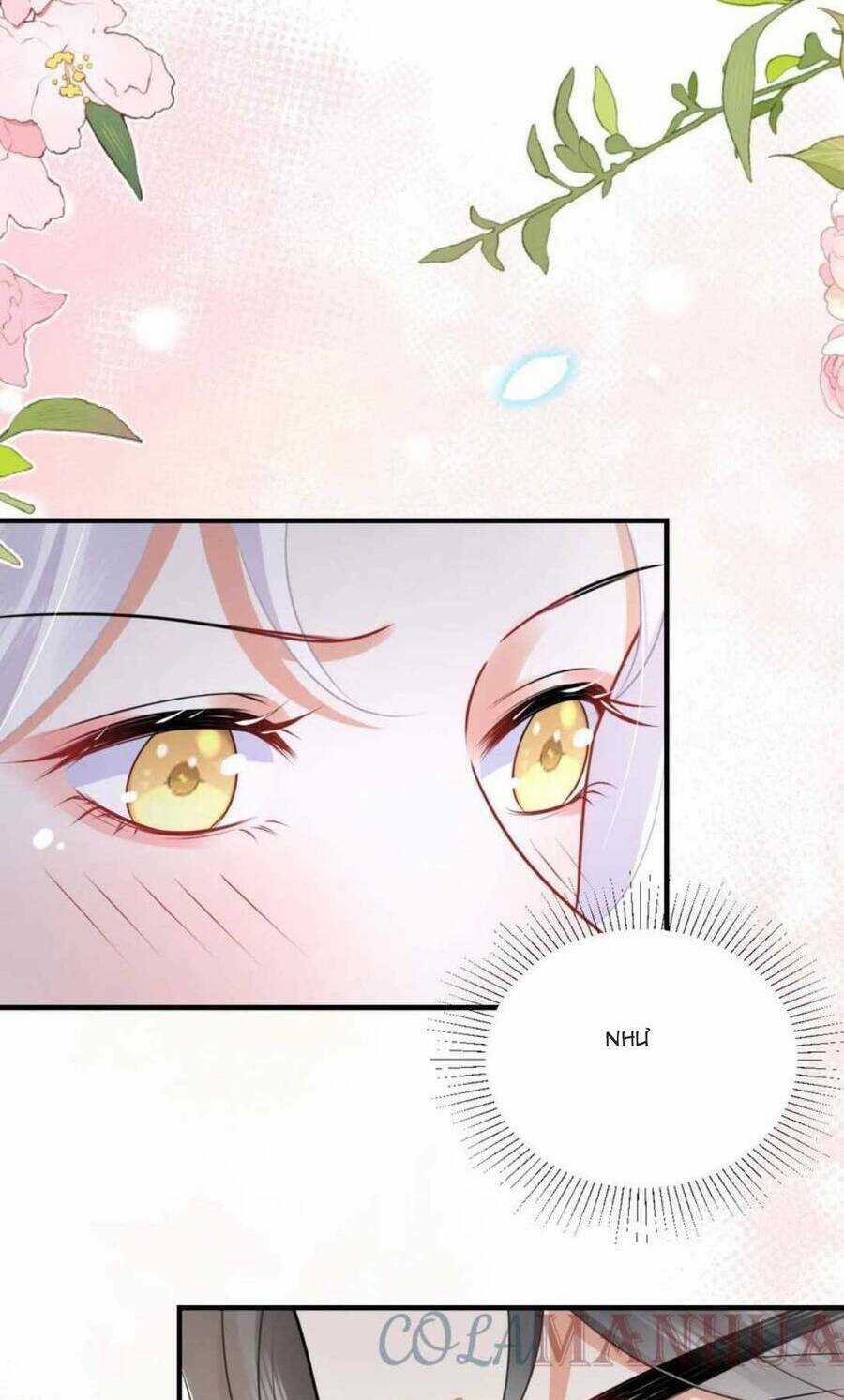 Sư Phụ Ta Muốn Người Là Của Riêng Ta Chapter 50 trang 54