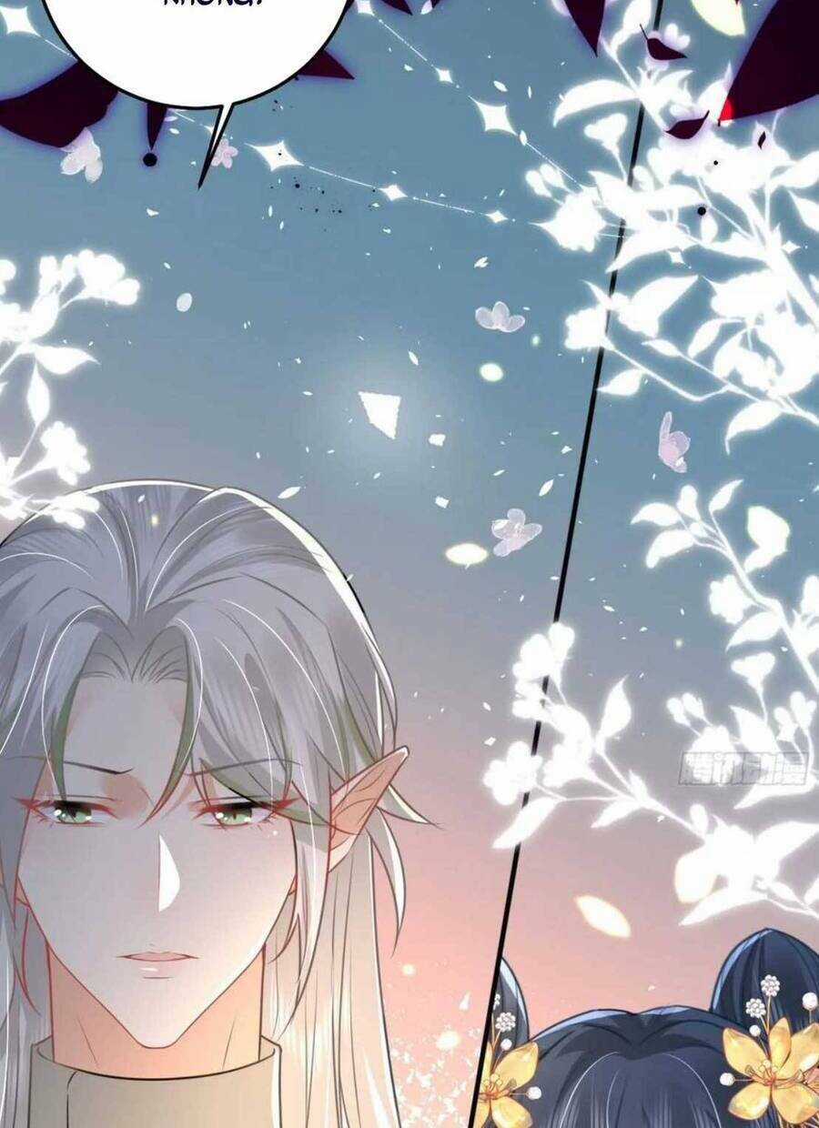 Sư Phụ Ta Muốn Người Là Của Riêng Ta Chapter 59 trang 74