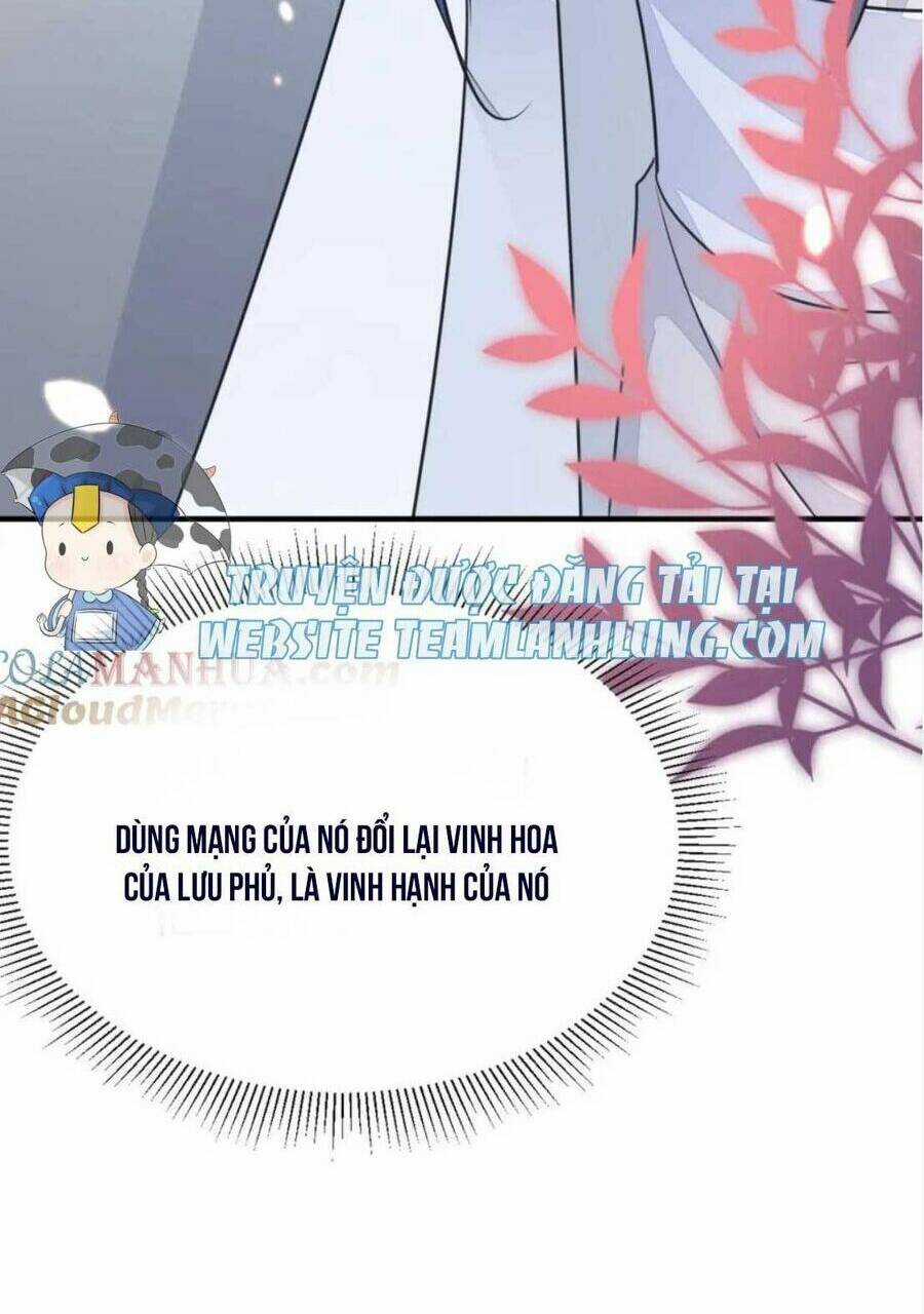 Sư Phụ Ta Muốn Người Là Của Riêng Ta Chapter 61 trang 71