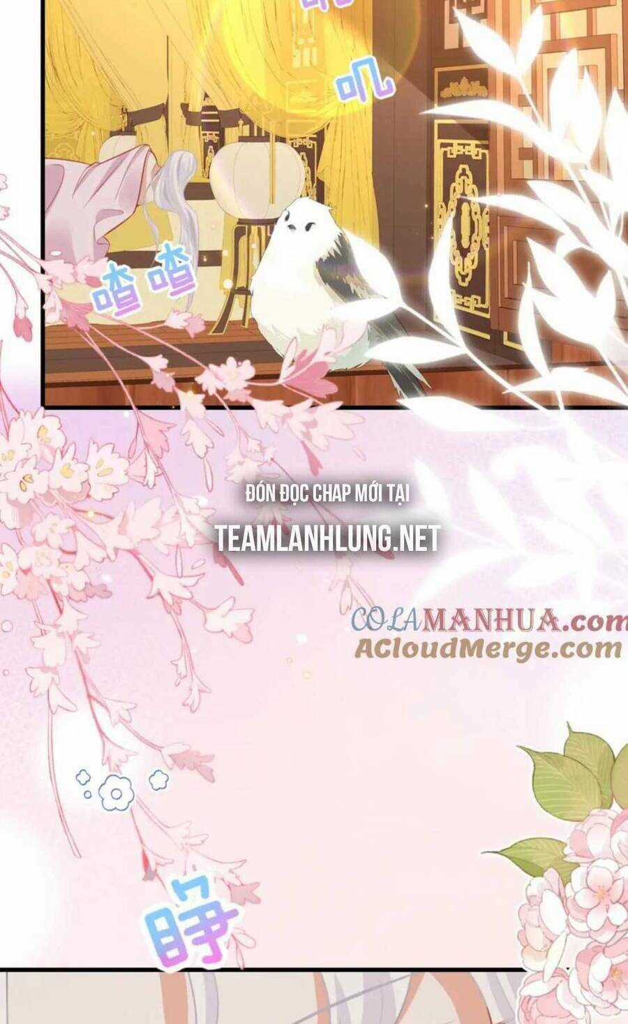 Sư Phụ Ta Muốn Người Là Của Riêng Ta Chapter 64 trang 25