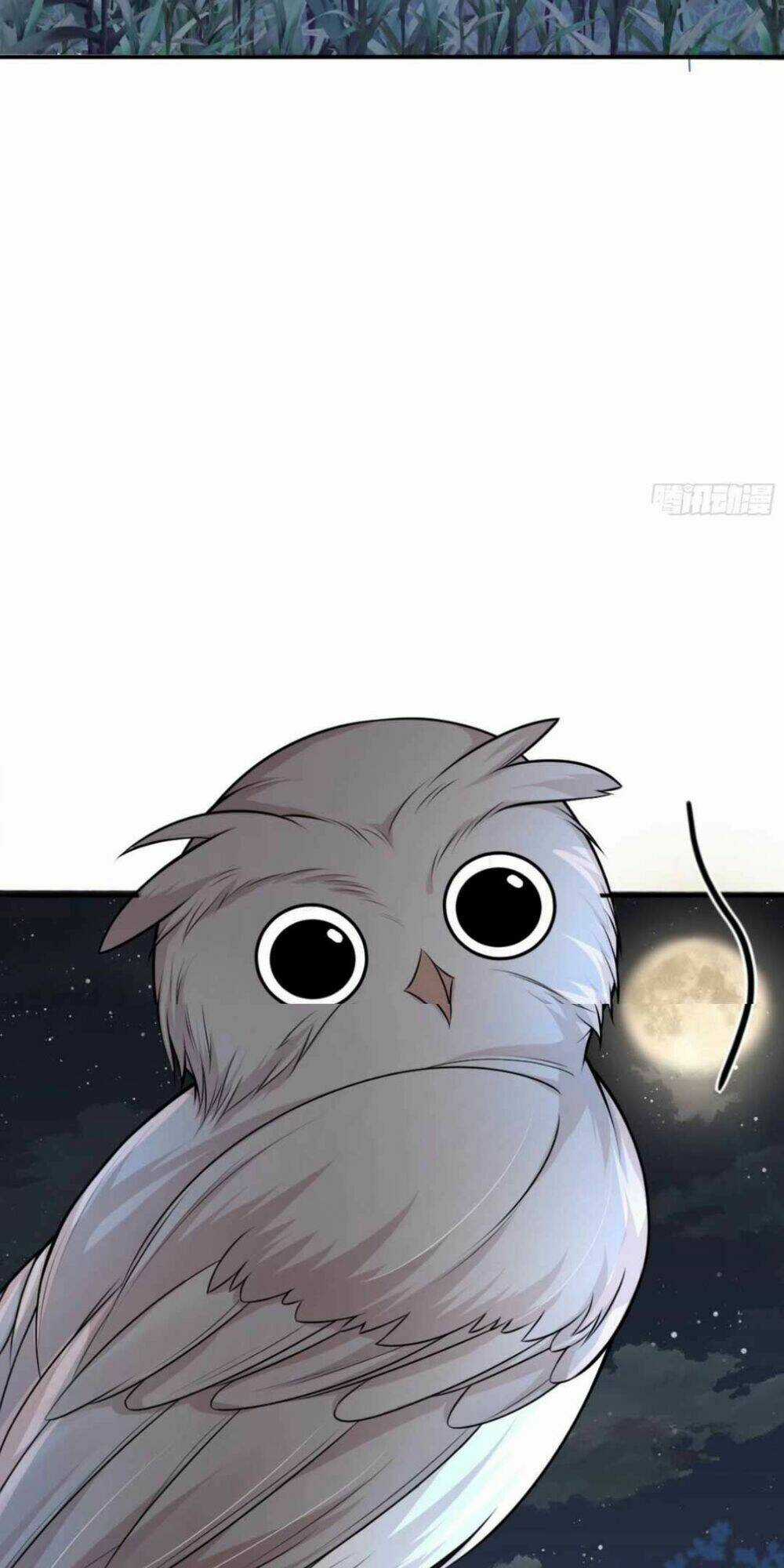 Sư Phụ Ta Muốn Người Là Của Riêng Ta Chapter 8 trang 2