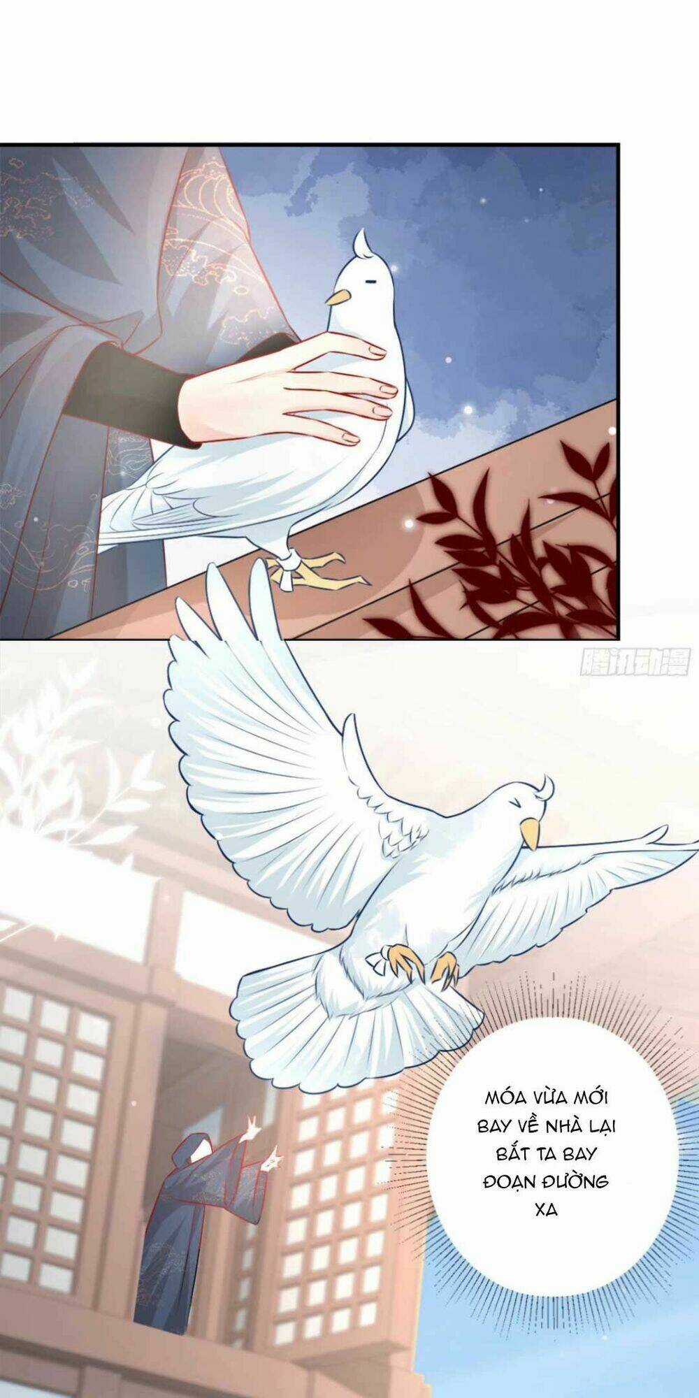 Sư Phụ Ta Muốn Người Là Của Riêng Ta Chapter 8 trang 62