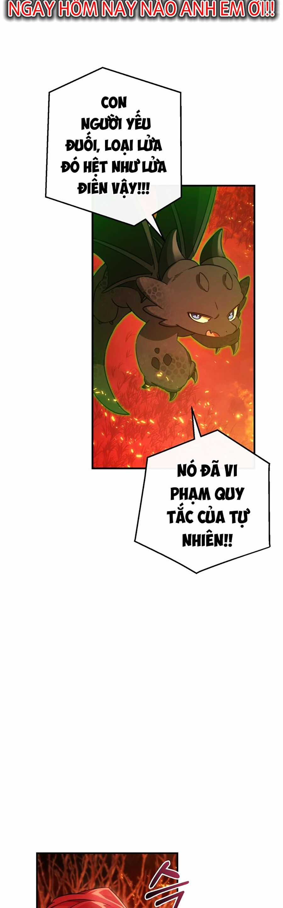 Sự Ra Đời Của Một Anh Hùng Chapter 107 trang 11