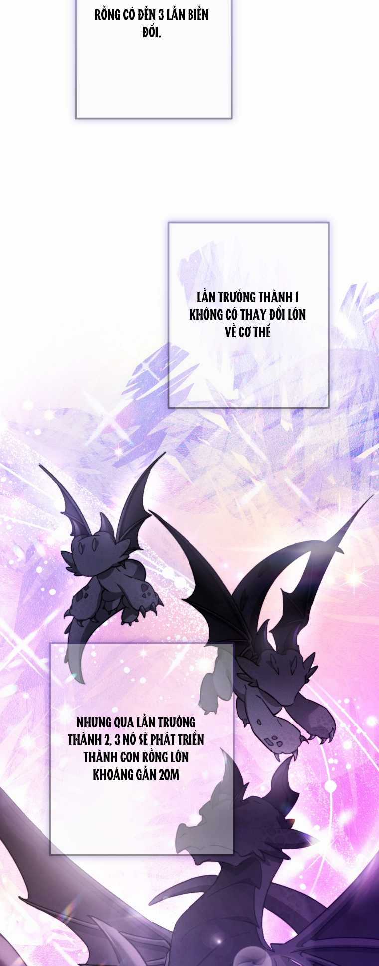 Sự Ra Đời Của Một Anh Hùng Chapter 110.1 trang 9