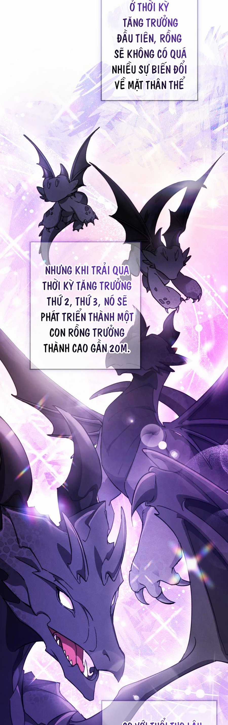 Sự Ra Đời Của Một Anh Hùng Chapter 110 trang 5