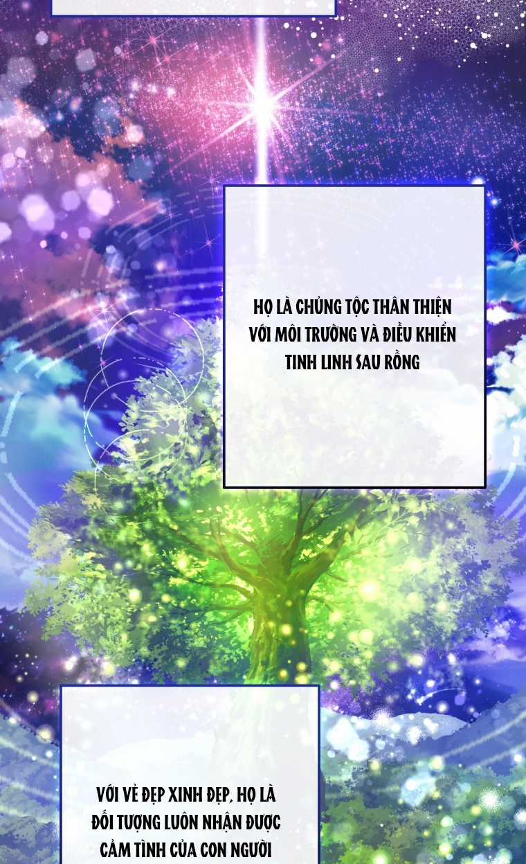 Sự Ra Đời Của Một Anh Hùng Chapter 113.2 trang 38