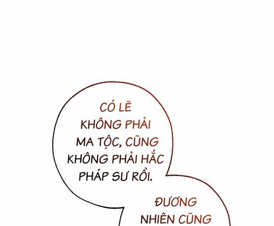 Sự Ra Đời Của Một Anh Hùng Chapter 113 trang 102